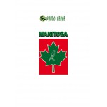 MANITOBA GIRASOLE STRIATO GR.500